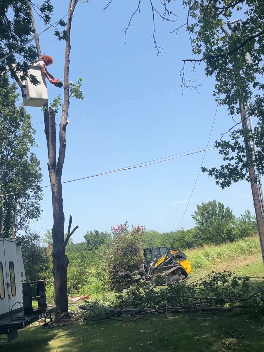 A Barco climber in a bucket working at the top of a tree stripped to bare poles, with a skid steer working below.