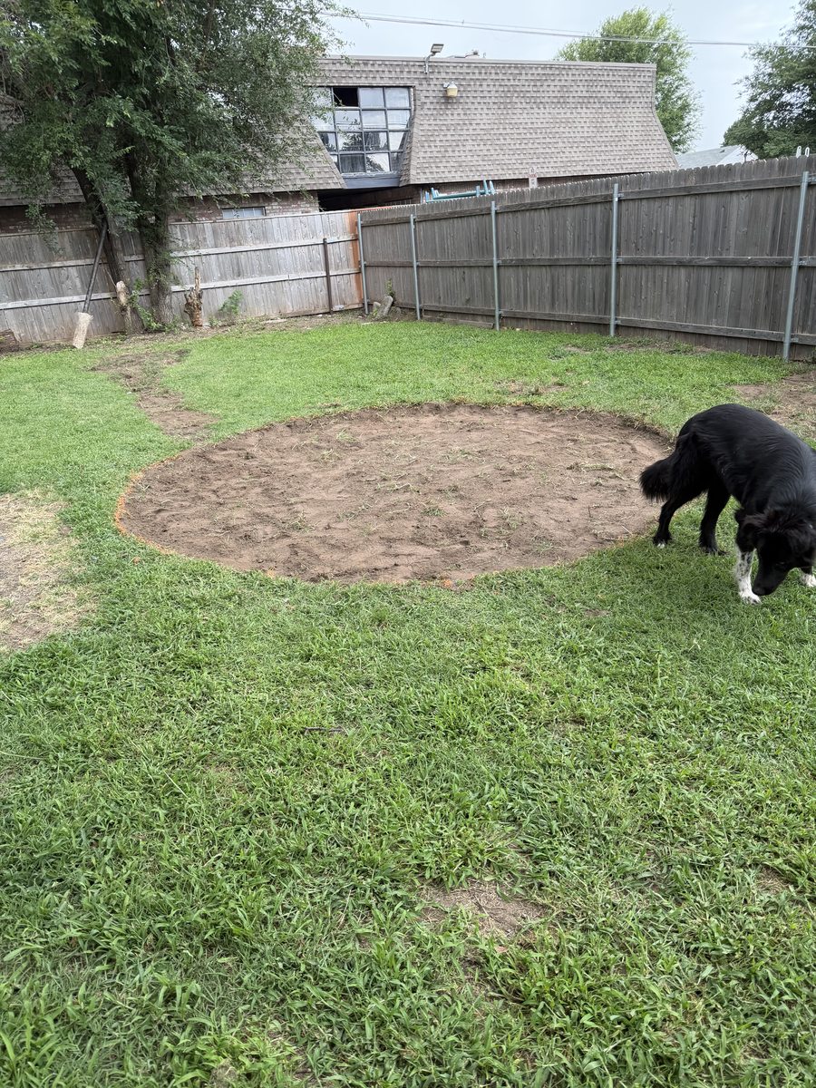 A clean circle of bare soil in a back lawn where a stump was ground out and backfilled.